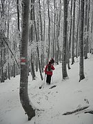 P2200093.JPG
