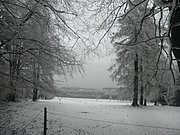 P2200096.JPG