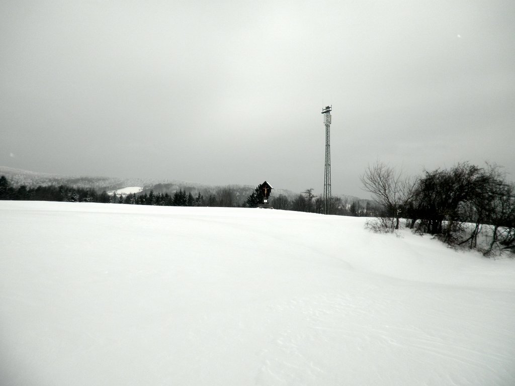 P2130002.JPG