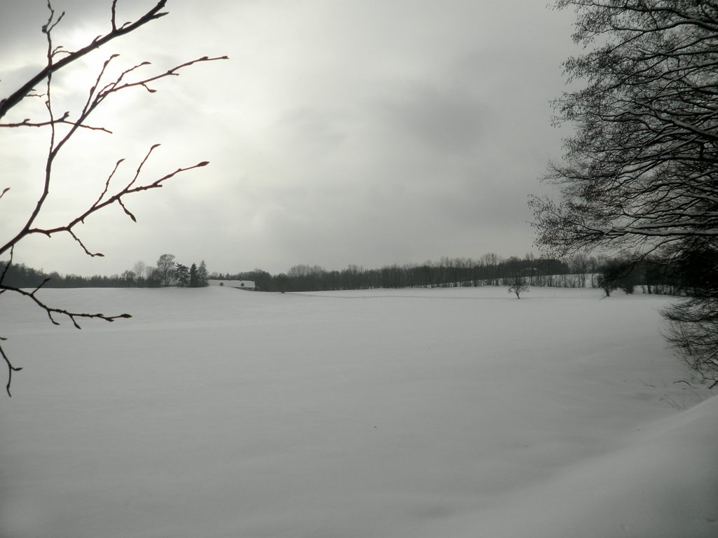 P2130003.JPG