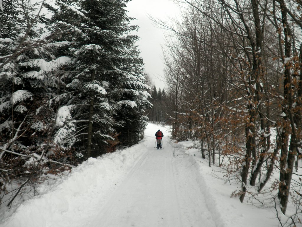 P2130004.JPG