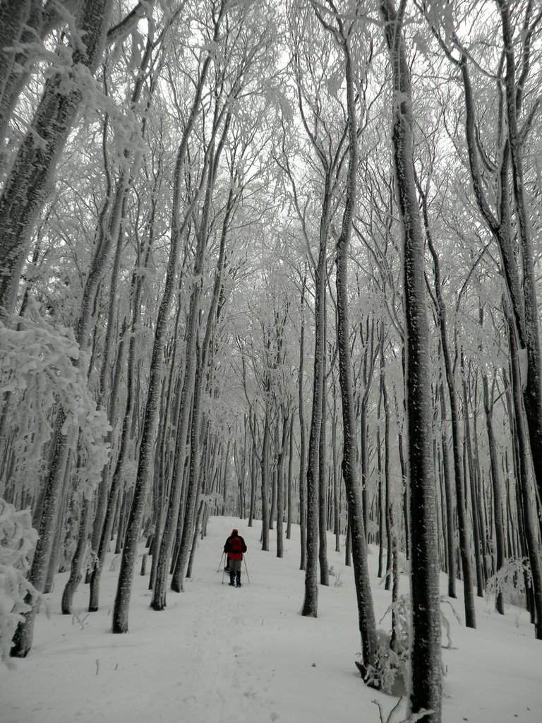 P2130018.JPG
