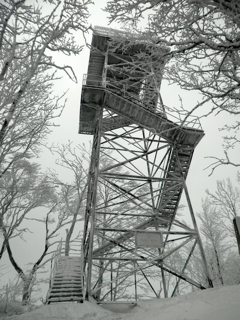 P2130032.JPG