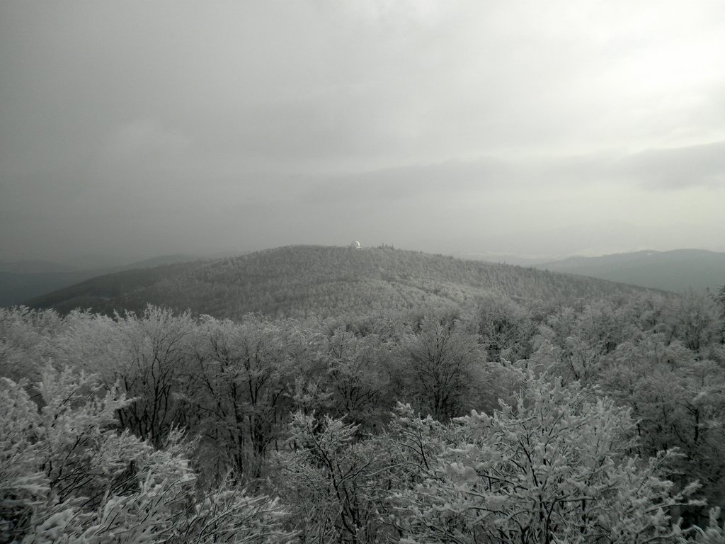 P2130036.JPG