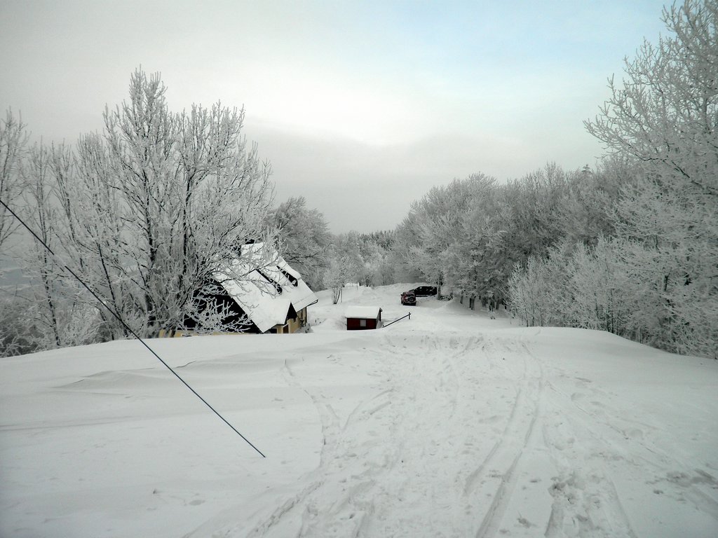 P2130042.JPG