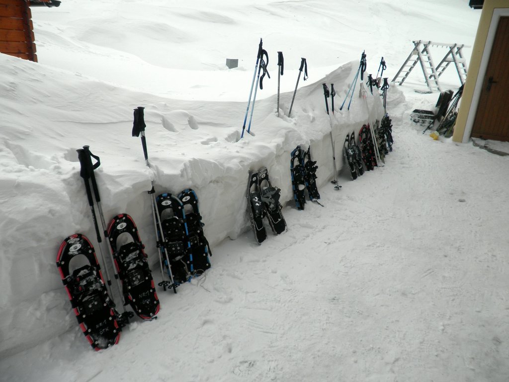 P2130043.JPG