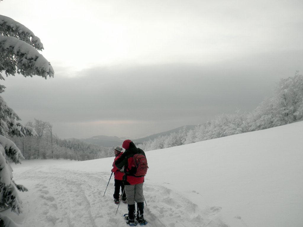 P2130050.JPG