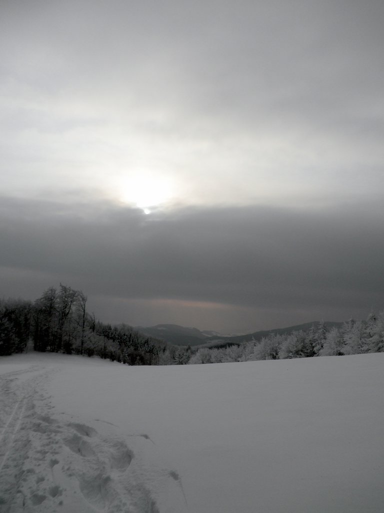 P2130051.JPG