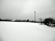 P2130002.JPG