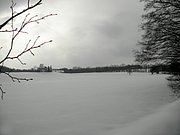 P2130003.JPG