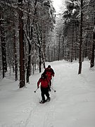 P2130006.JPG