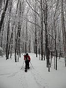 P2130010.JPG