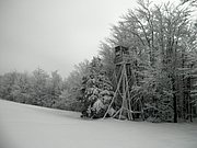 P2130014.JPG