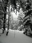 P2130016.JPG