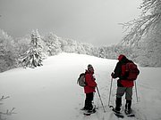 P2130021.JPG