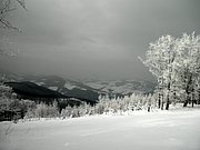 P2130026.JPG