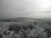 P2130036.JPG