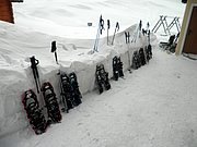 P2130043.JPG
