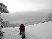 P2130050.JPG
