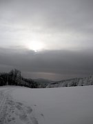 P2130051.JPG
