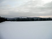P2130055.JPG