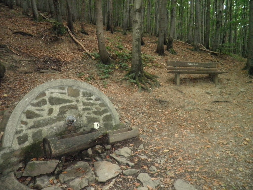 P9080021.JPG