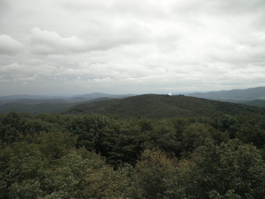 P9080027.JPG