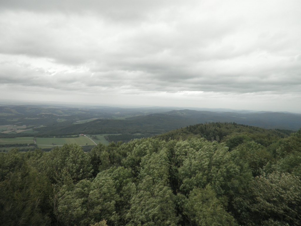 P9080030.JPG