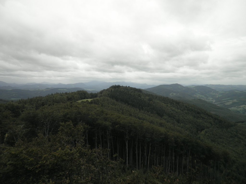 P9080031.JPG