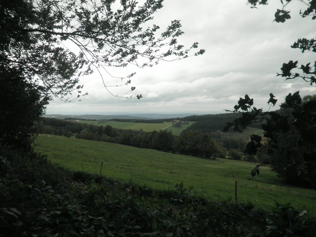 P9080036.JPG