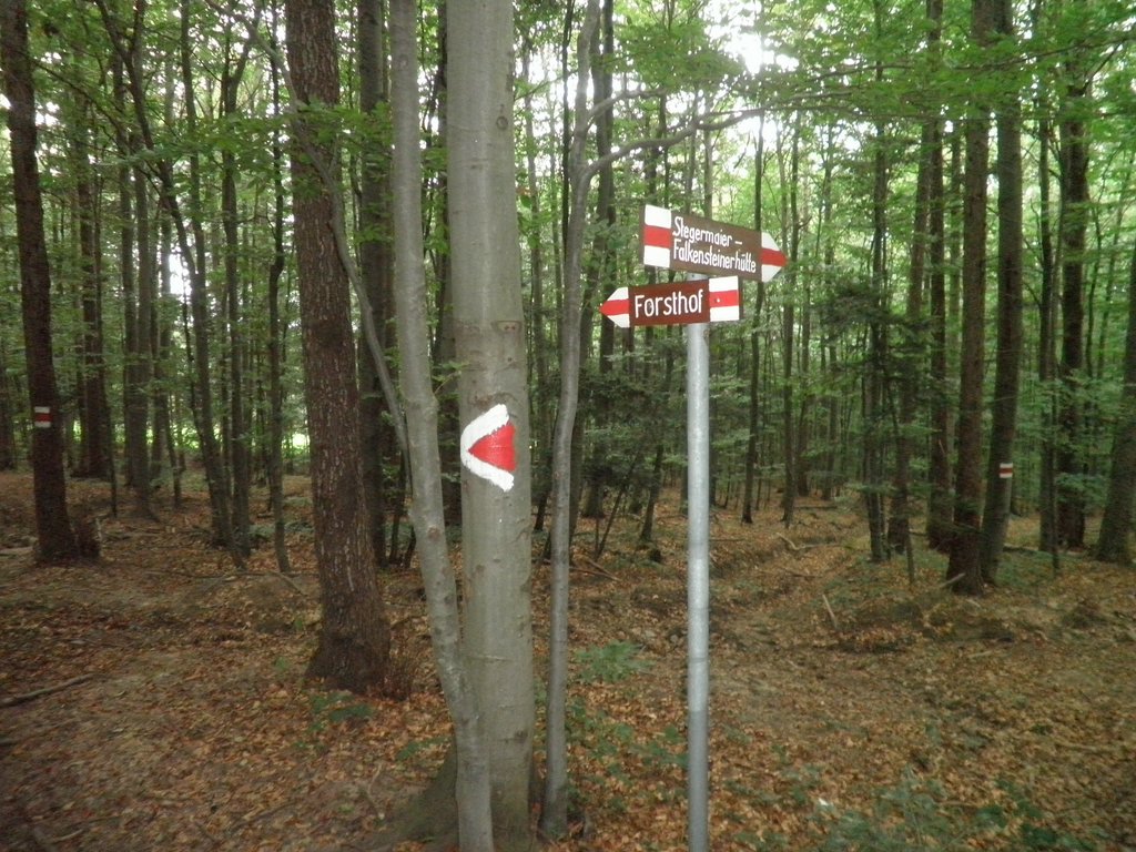 P9080037.JPG