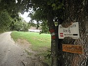 P9080018.JPG