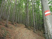 P9080020.JPG