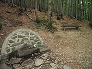 P9080021.JPG
