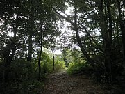 P9080022.JPG