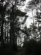 P9080025.JPG