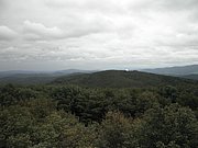 P9080027.JPG