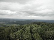 P9080030.JPG