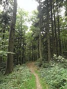 P9080035.JPG