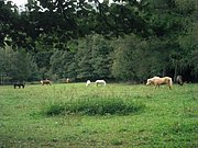 P9080038.JPG