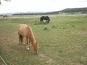 P9080040.JPG
