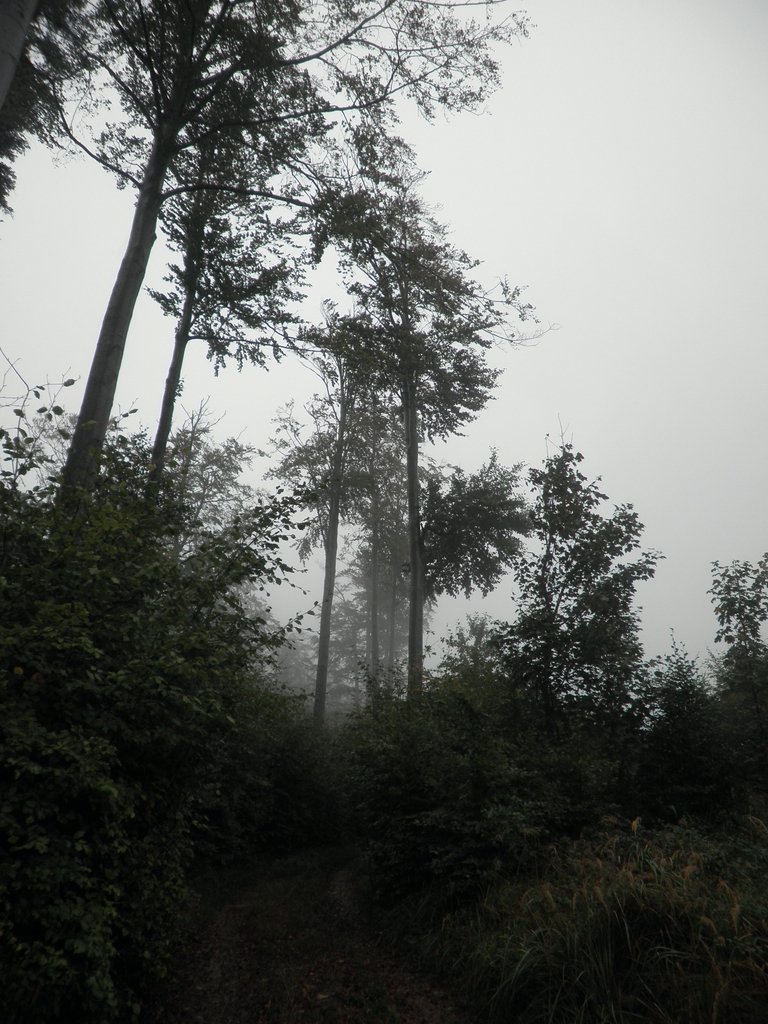P9200011.JPG