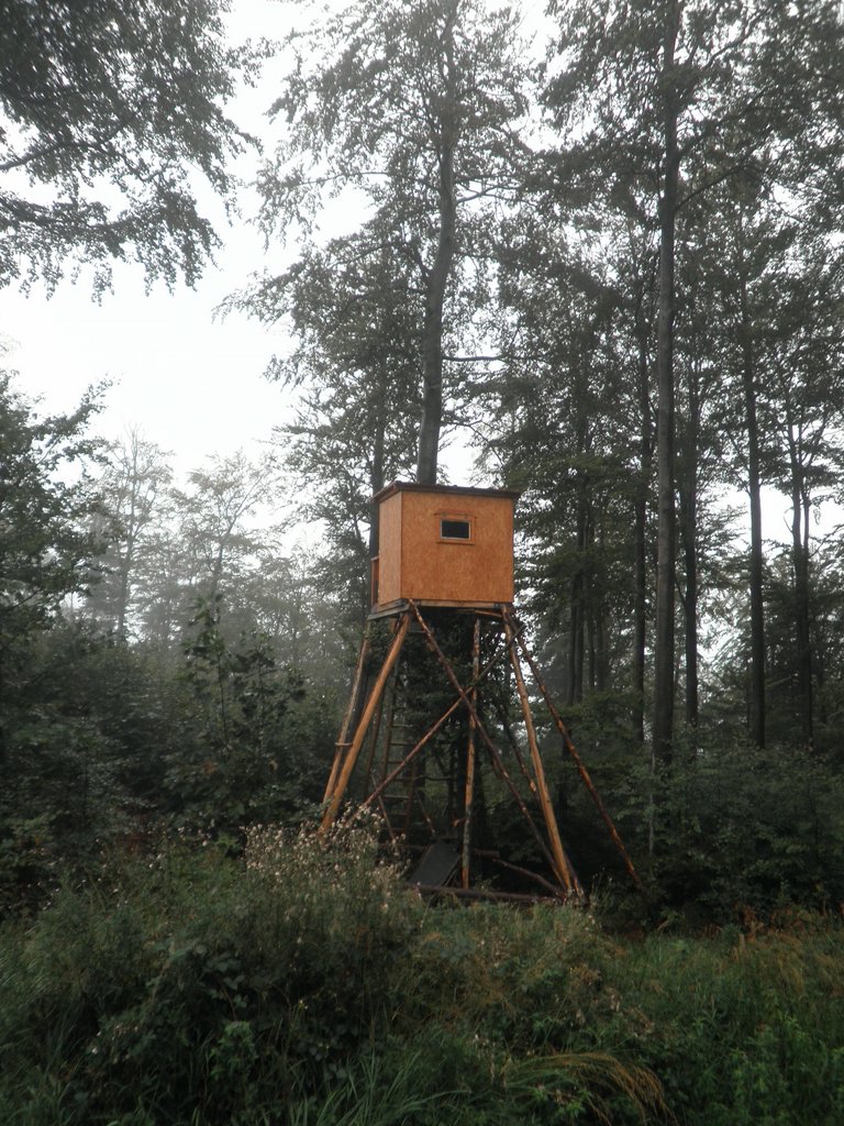 P9200012.JPG