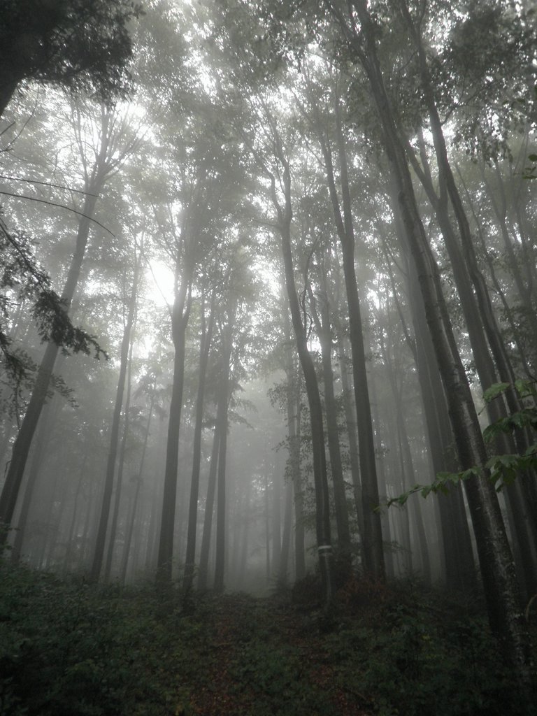 P9200013.JPG