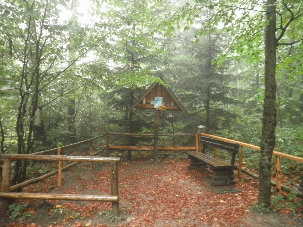 P9200018.JPG