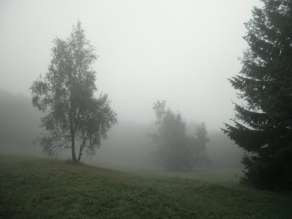 P9200019.JPG