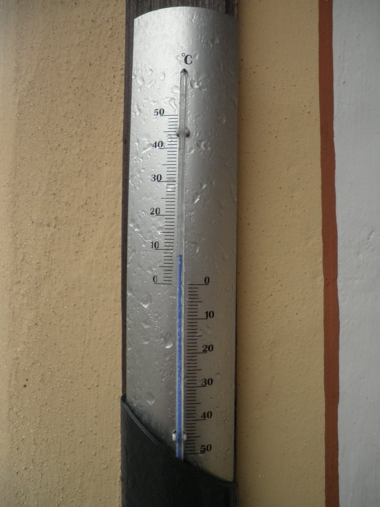 P9200023.JPG