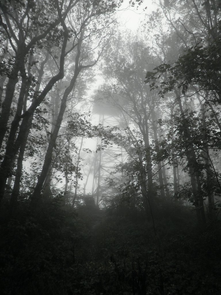 P9200025.JPG