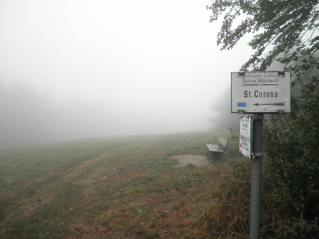 P9200026.JPG