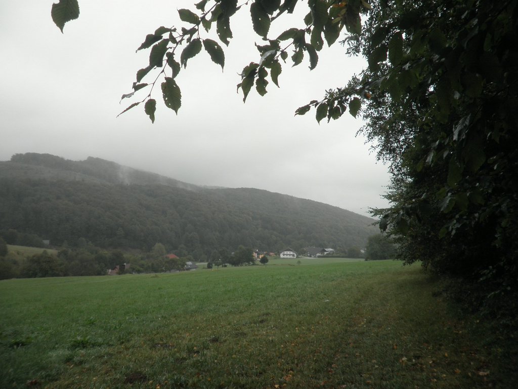 P9200033.JPG